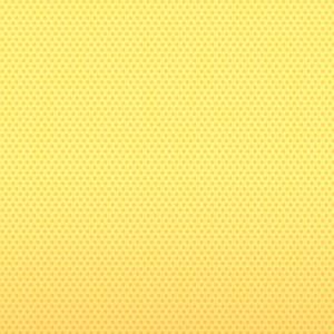 Meet your Posher, Dani